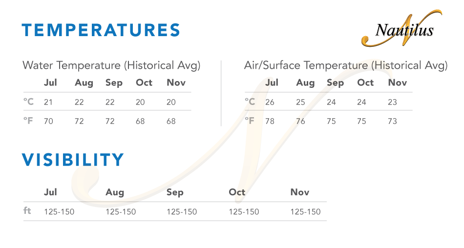 Guadalupe Island Overview Nautilus Liveaboards®