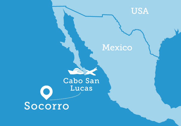 Socorro Island Overview Nautilus Liveaboards