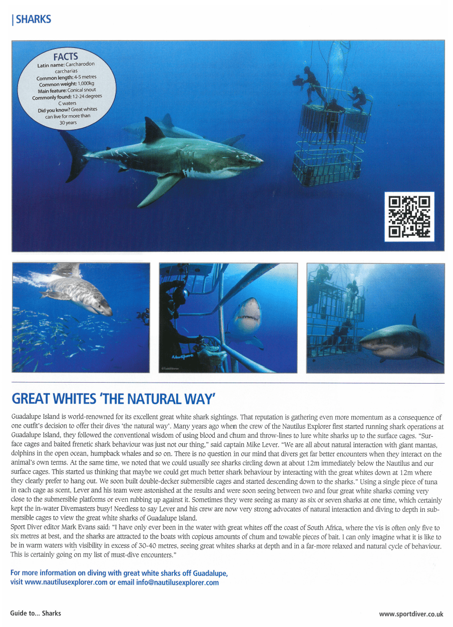 Guide to Sharks Great Whites 'The Natural Way' From Sport Diver