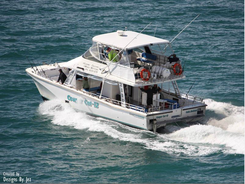 Fishing Charters Cougar Cat12 Nautilus Beachfront Villas