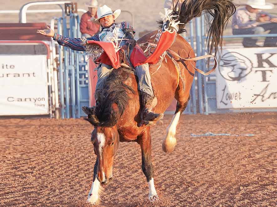 680 contestants entered at Navajo Ag Expo Navajo Times