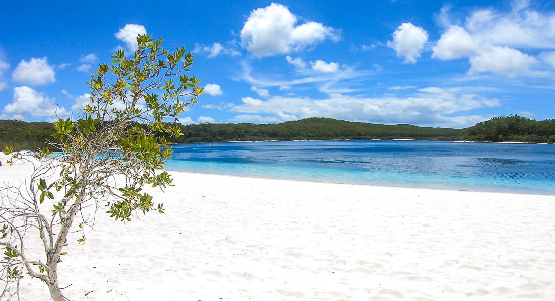 Best Queensland Family Holidays Navigating Adventure
