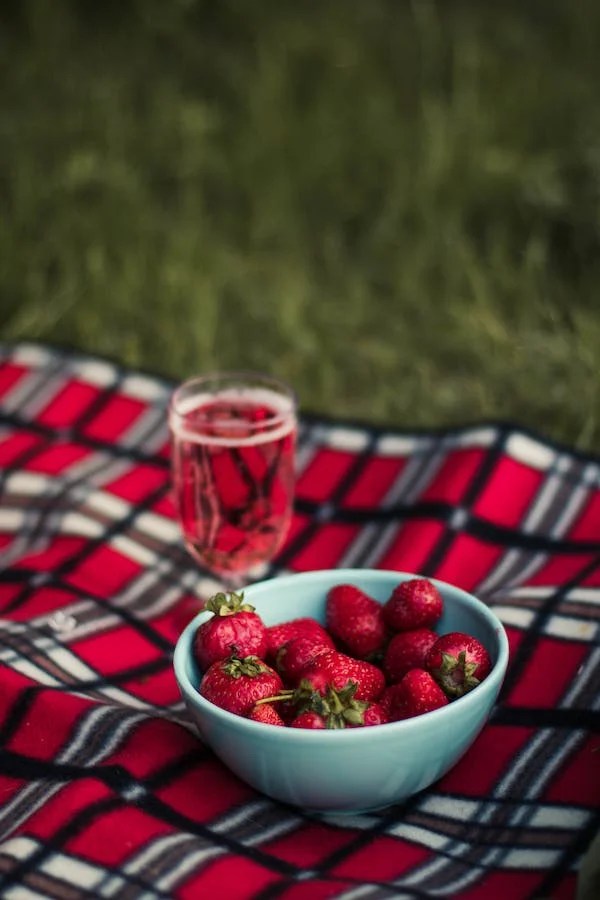 100 Best Picnic Captions for Instagram