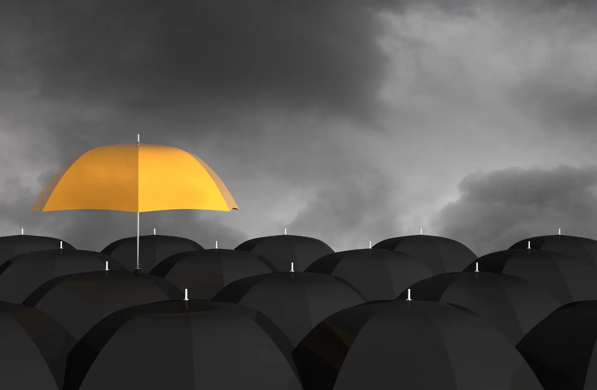 Understanding the Importance of Umbrella Insurance NavSav