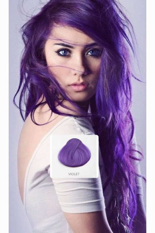 Directions VIOLET (No8)