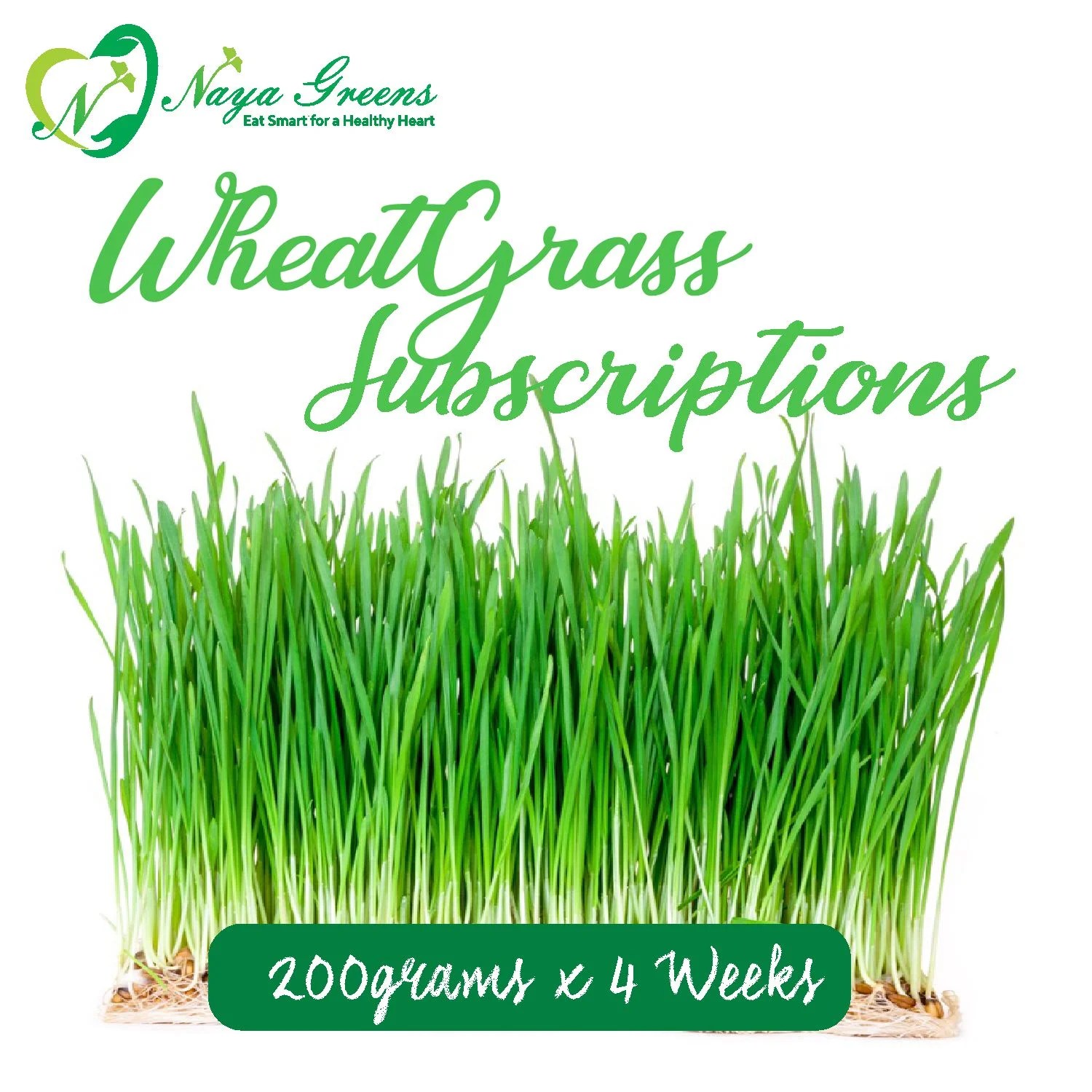 WheatGrass Weekly Subscription Nayagreen