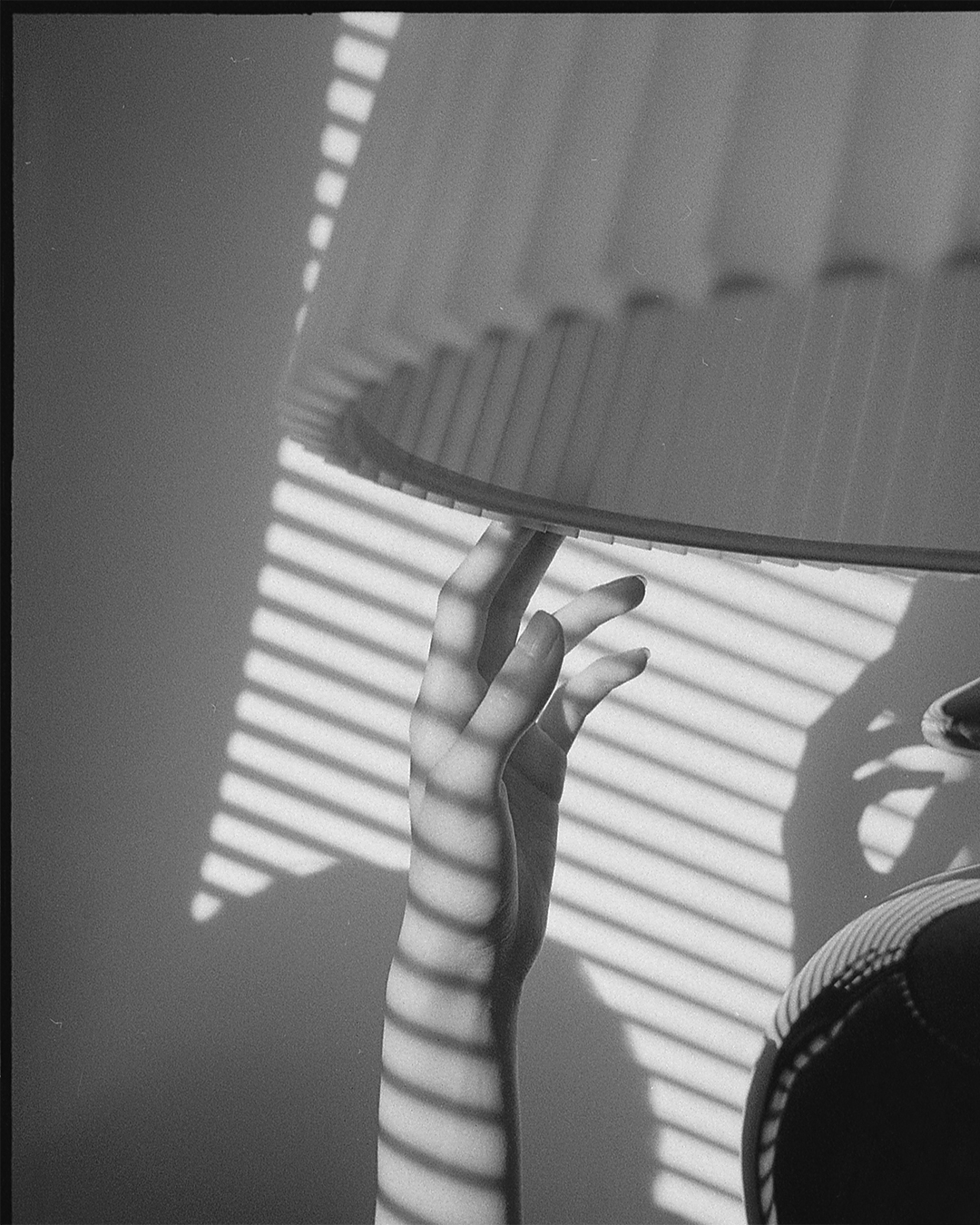 Plastic Flowers Nayake