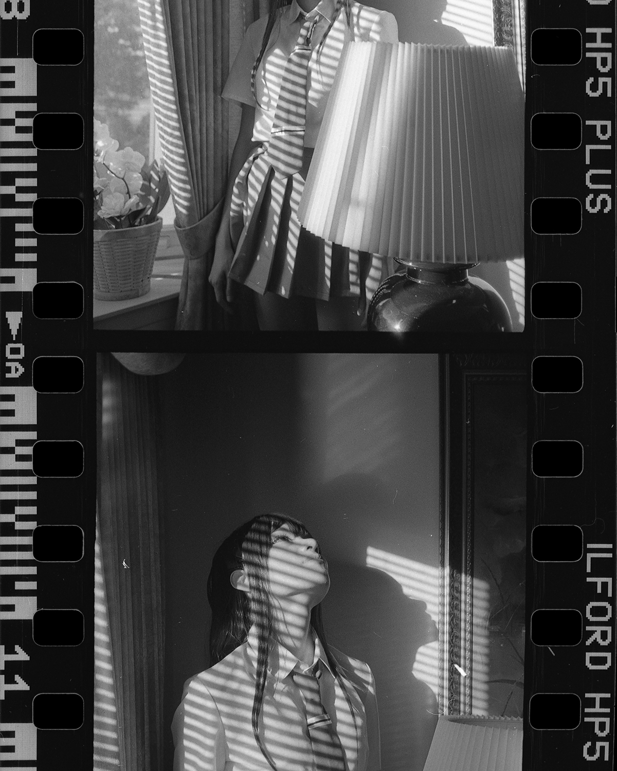 Plastic Flowers Nayake