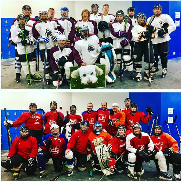 ICE OASIS SAN MATEO YOUR SAN MATEO ICE RINK!