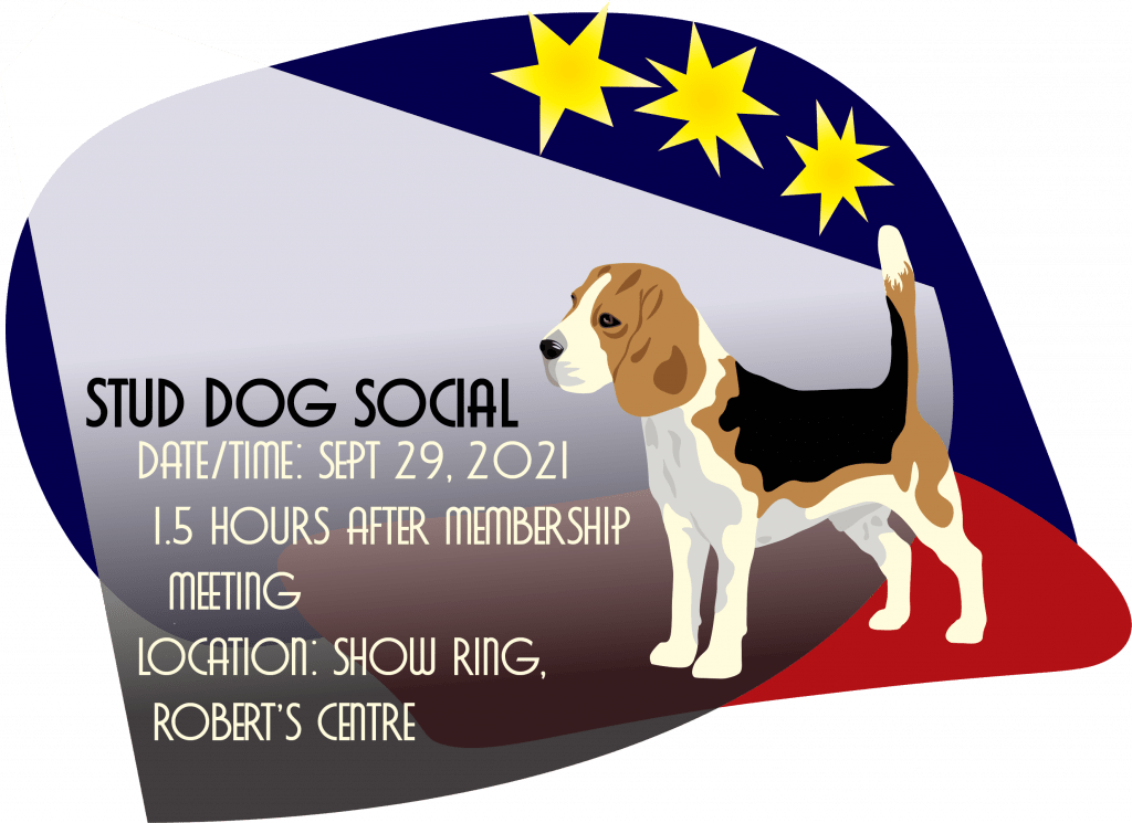 Canine Performance Events Nationals 2023 Stud Dog Social National Beagle Club Specialty