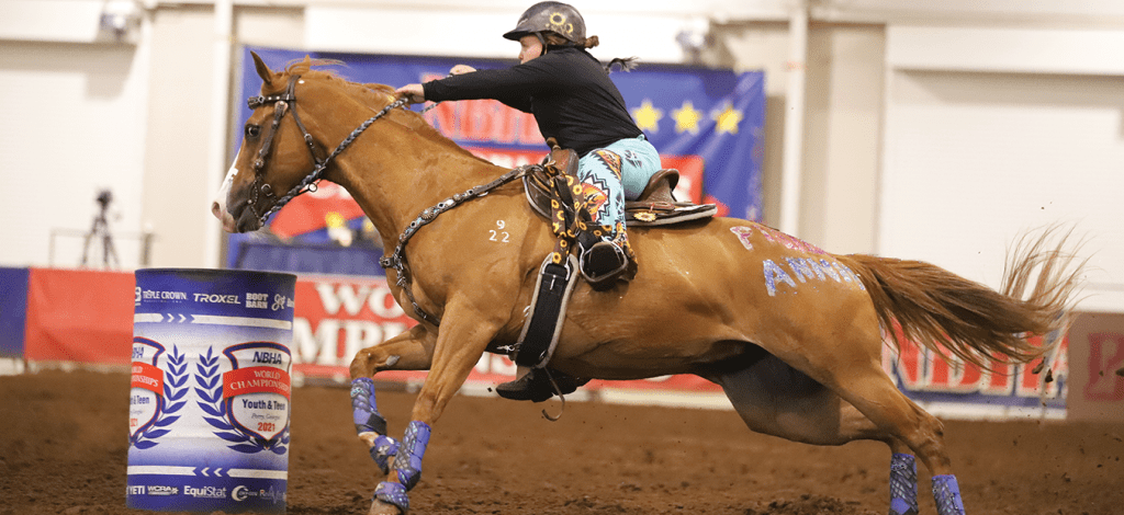 Nbha State Show 2023 National Barrel Horse Association