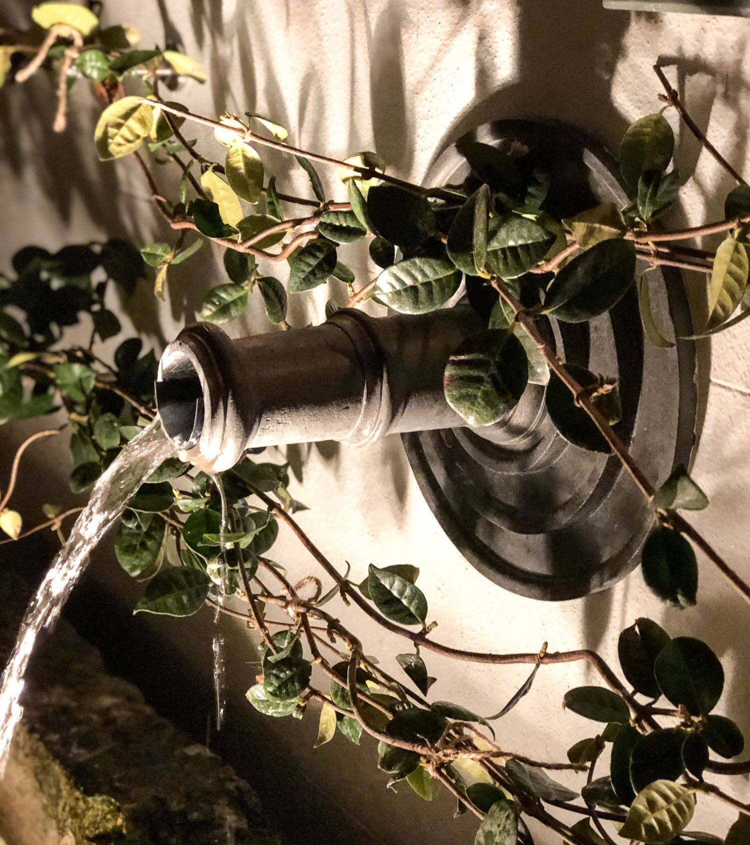 Bayswater Garden nb lighting & design