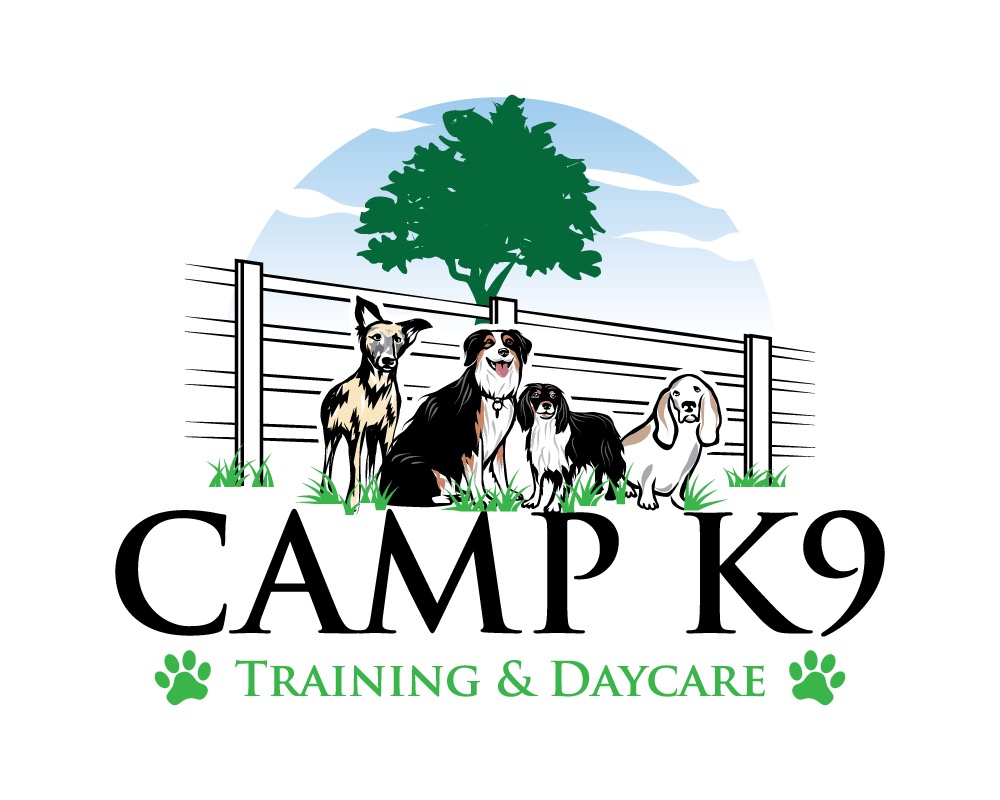 Camp K9 Training & Daycare Dog Training & Pet Care Services for the