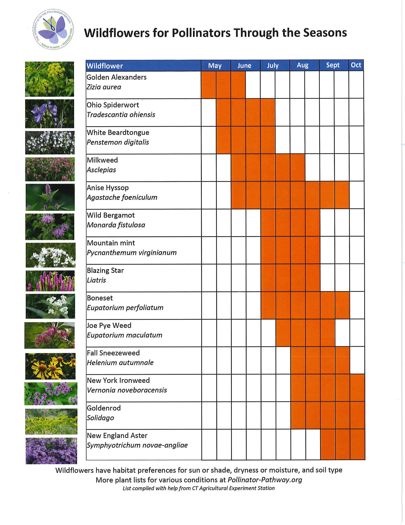 Pollinator Pathway & Sunflower Project North Branford Libraries
