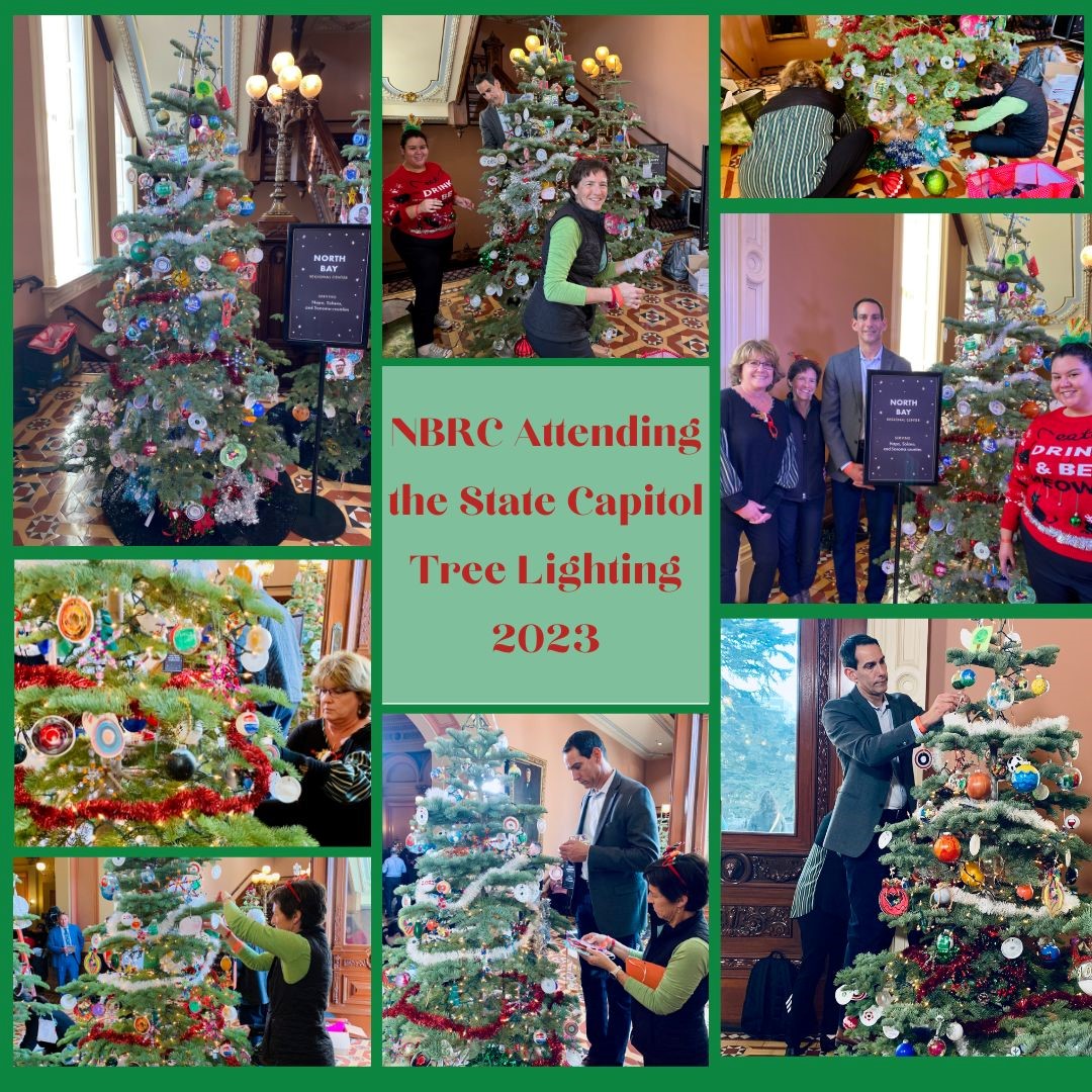 Our Participation in the State Capitol Tree Lighting Ceremony