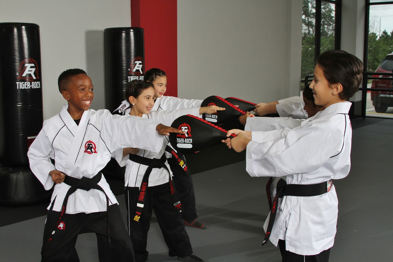 Junior Taekwondo TigerRock Martial Arts New Braunfels