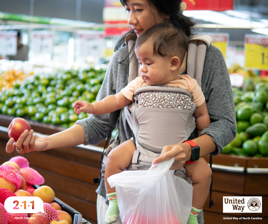 Hurricane Helene Disaster Supplemental Nutrition Assistance Program (D