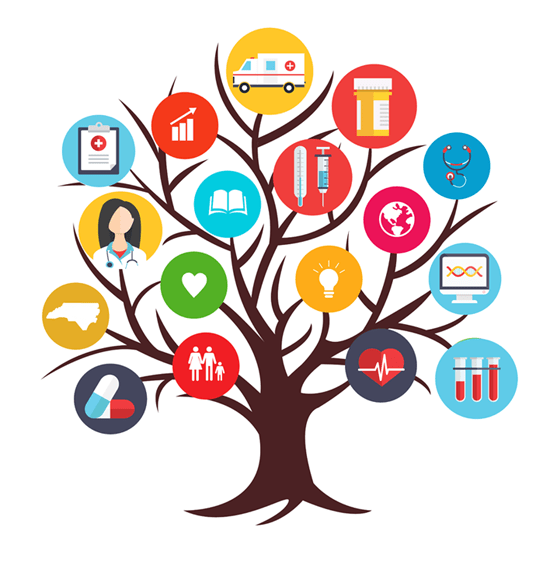 Home The NC Alliance for Health Professions Diversity