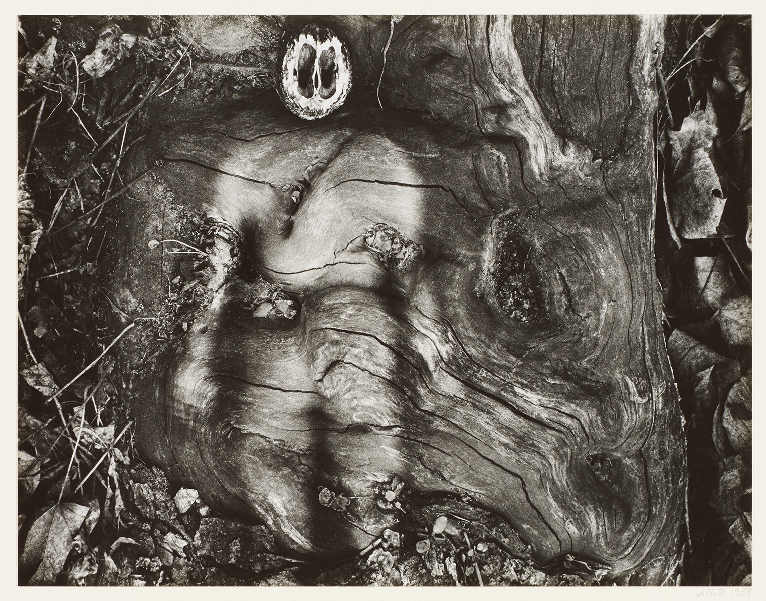 Enigmatic Figure North Carolina Museum of Art