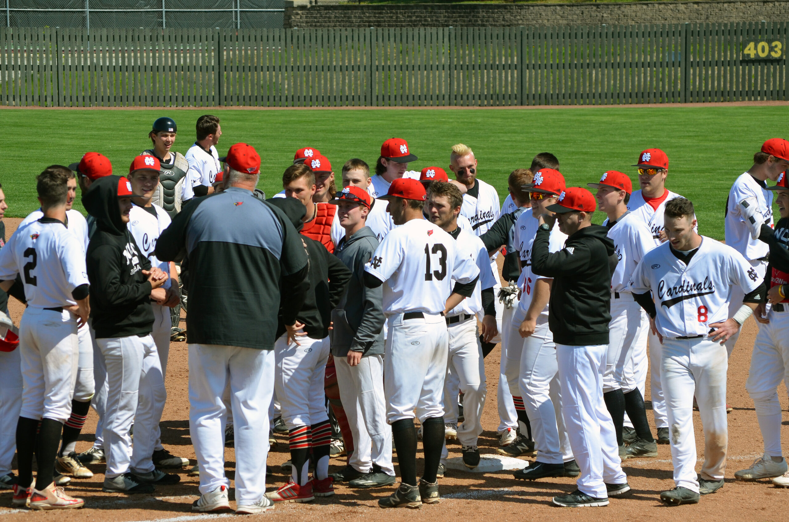 Baseball Player Rakes at Margaret Vera blog