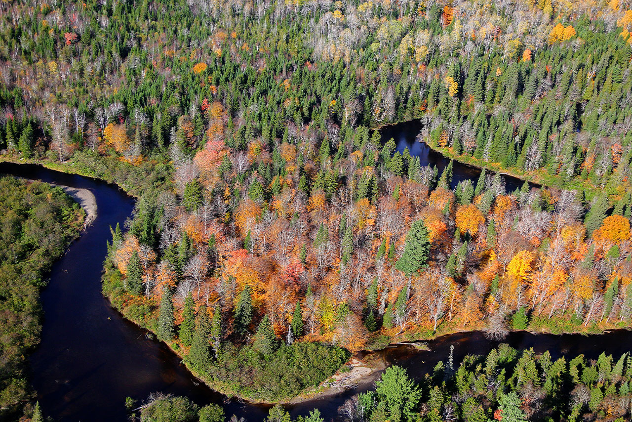 Celebrating 60 years Nature Conservancy Canada Annual Report 2021