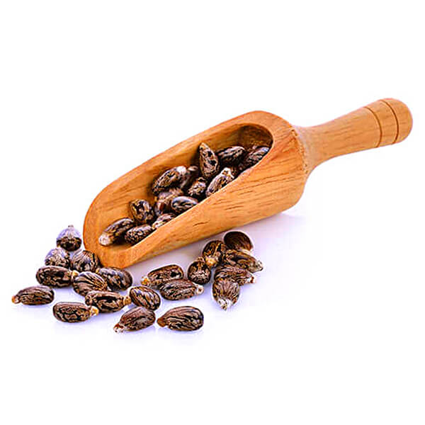 CASTOR SEED National Commodity & Derivatives Exchange Limited