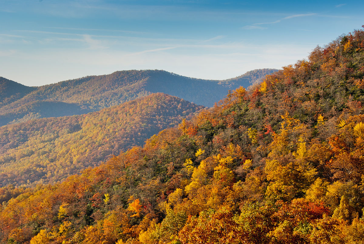 NC DNA Day » Maple Trees vs. Winter How Trees Survive and Thrive Again