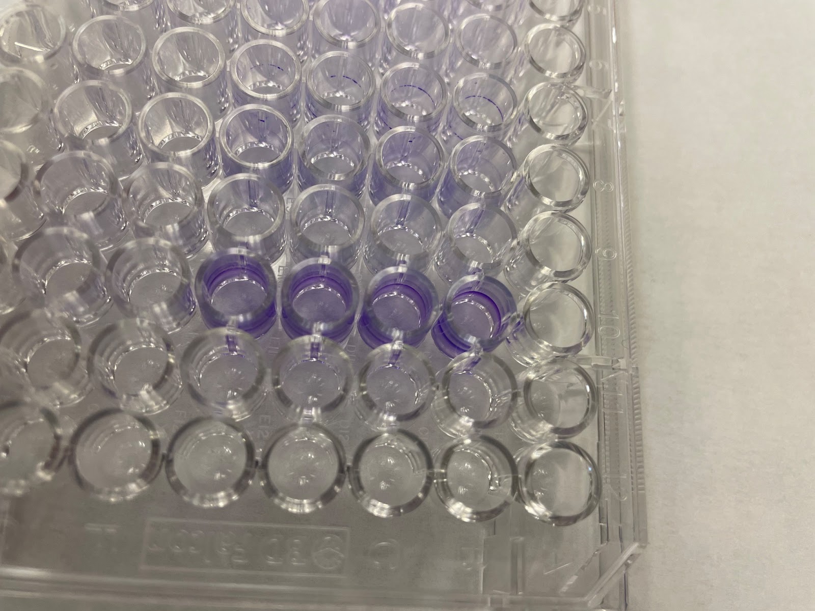 Crystal Violet Biofilm Assay NC DNA Day Blog