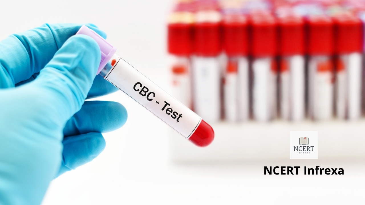 CBC TEST Complete Blood Count Test NCERT Infrexa