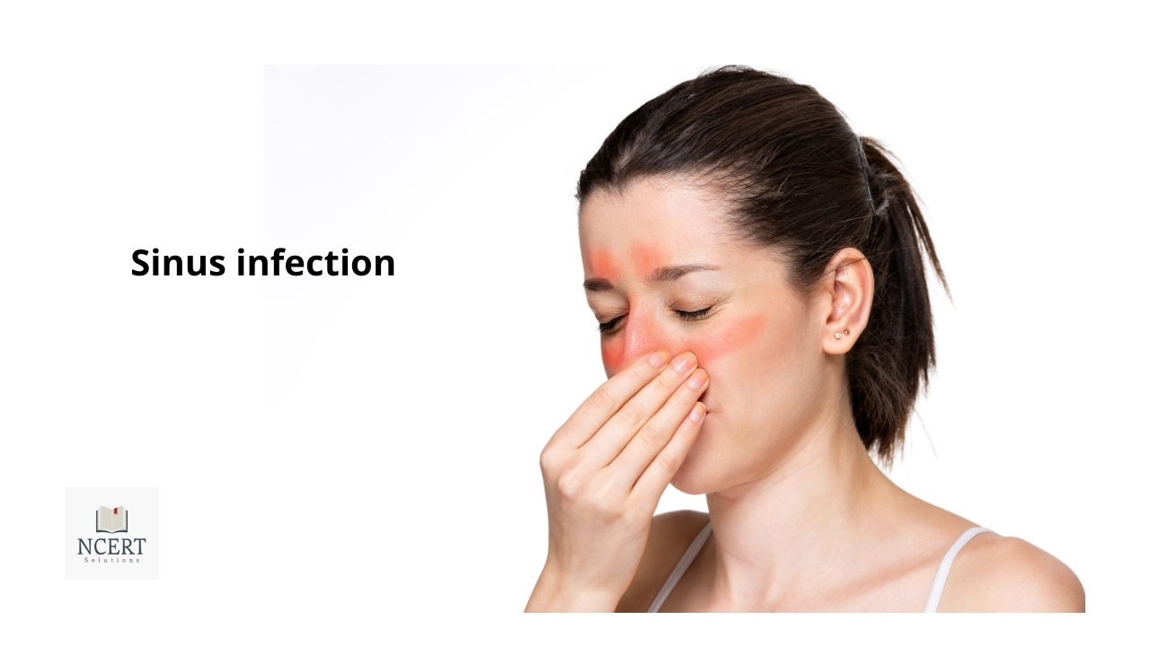Sinusitis Meaning, Symptoms and home remedies NCERT Infrexa