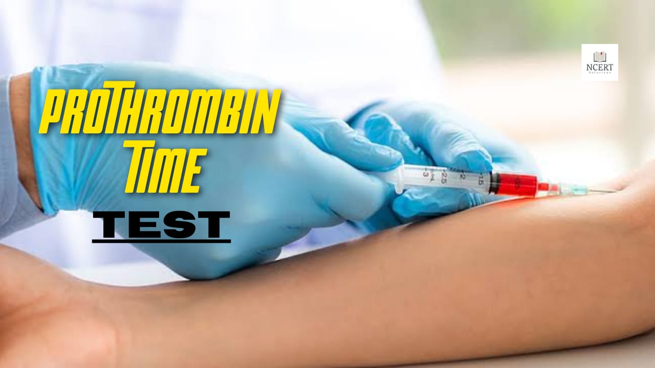 Prothrombin Time Test NCERT Infrexa