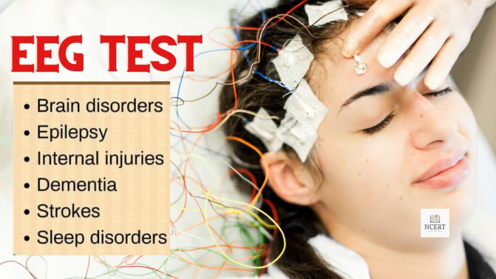 EEG Test Full form, Procedure and Precautions NCERT Infrexa