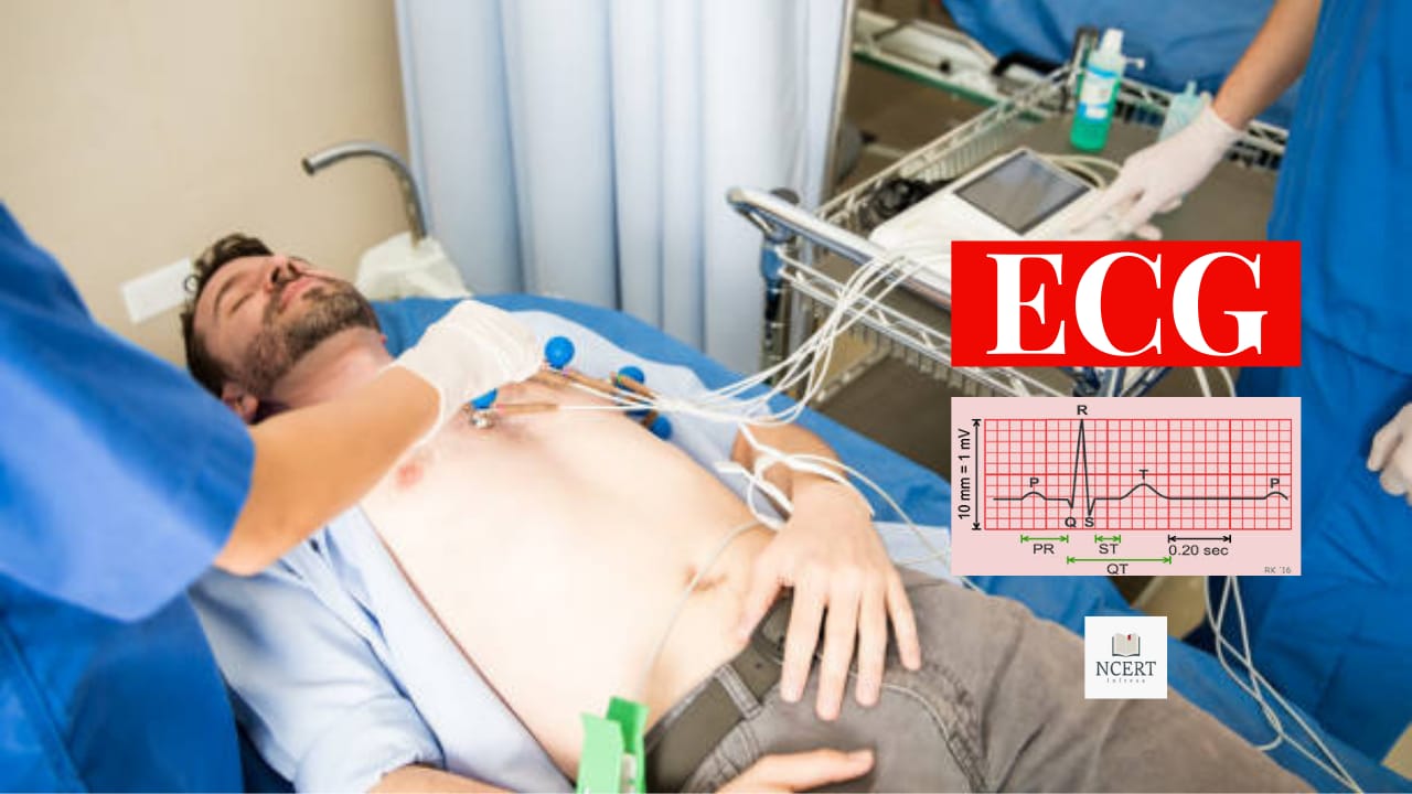 ECG Meaning, full form, purpose and normal results infrexa