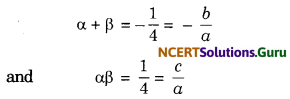 Polynomials Class 10 Extra Questions Maths Chapter 2 with Solutions Answers 4