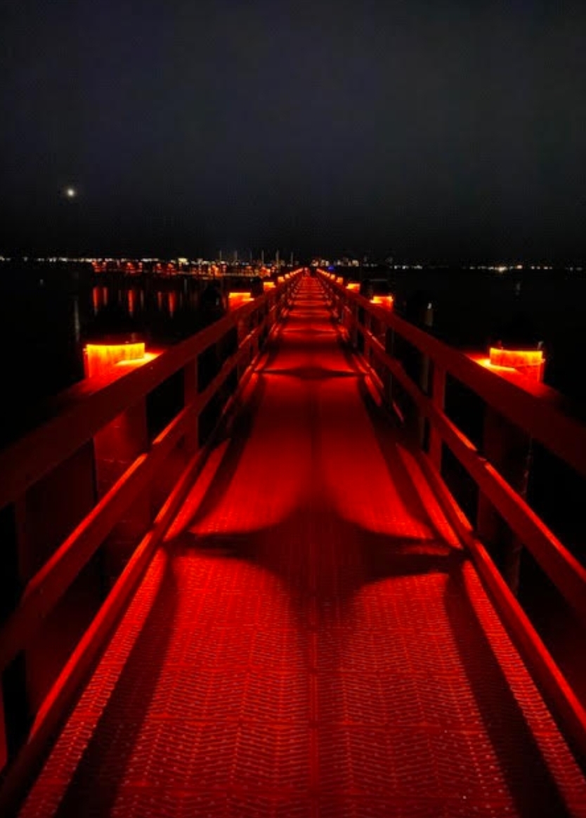 New Caples Waterfront dock seeks to add beauty and functionality to New College The Catalyst