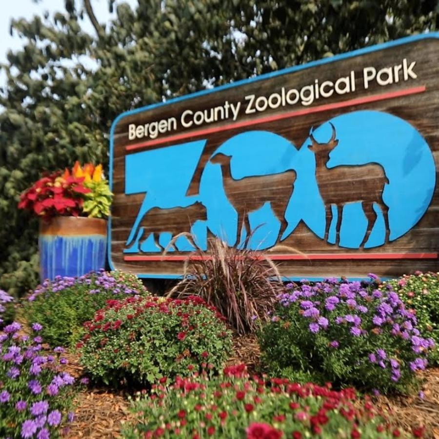 Bergen County Zoo & Van Saun Park New Concepts For Living