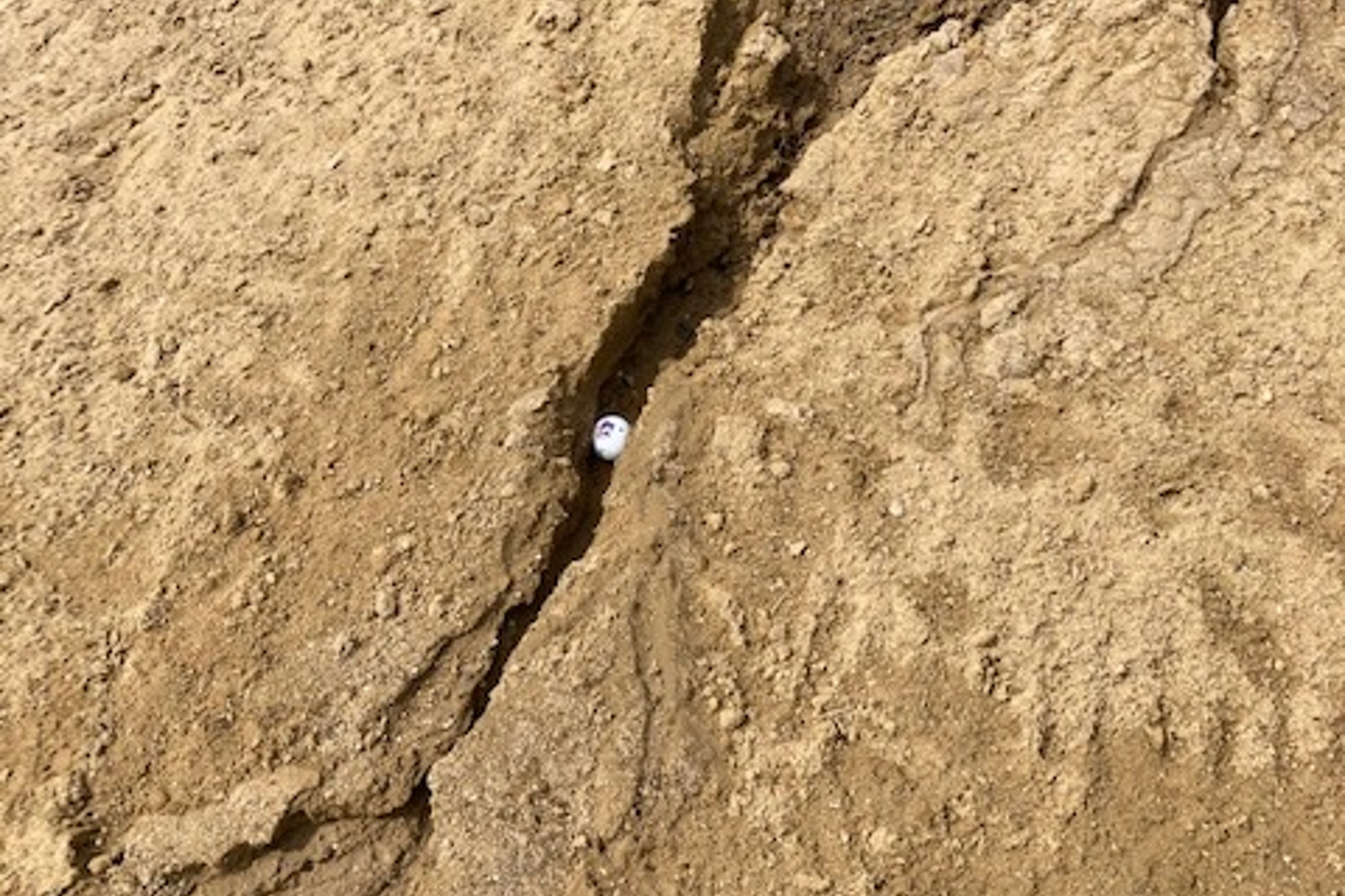 Washed out bunker? Surely you can get free relief from this?