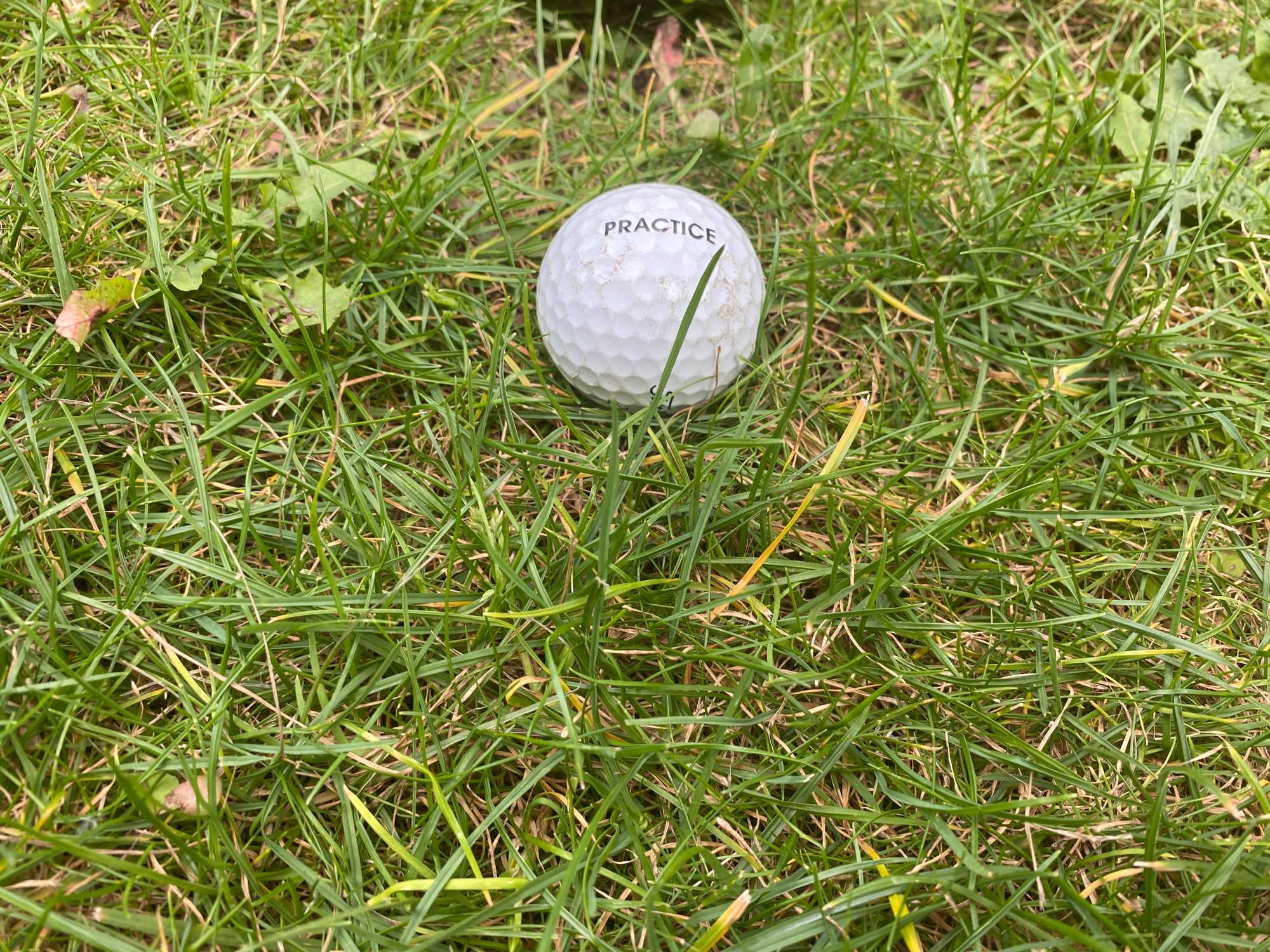 Refurbished golf balls Can you use lake balls in a competition