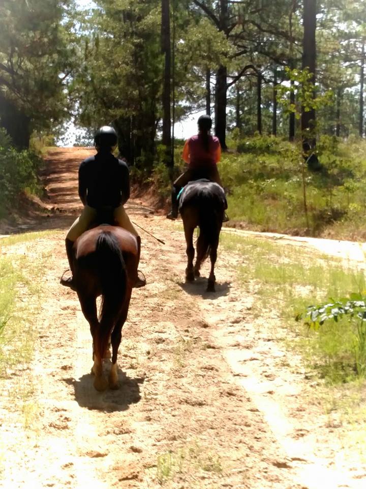 North Carolina Horse Council The Voice of the North Carolina Horse