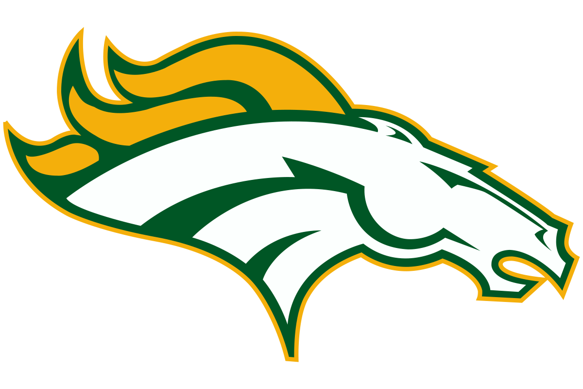 Cleveland County NC High School Logos