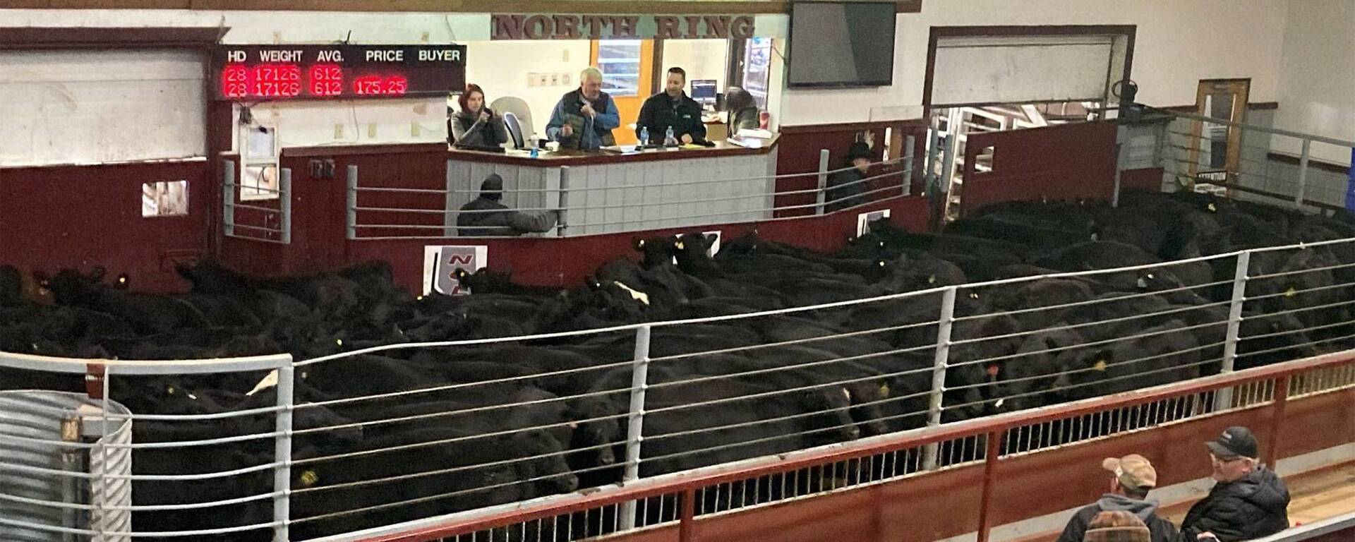 North Central Livestock Exchange