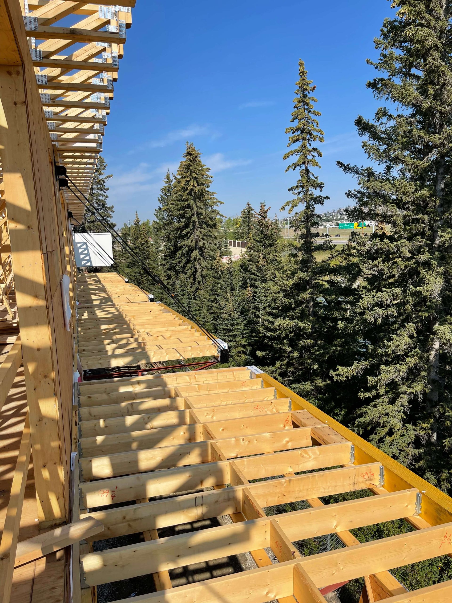 Calgary Framing Gallery NCL Framing Calgary