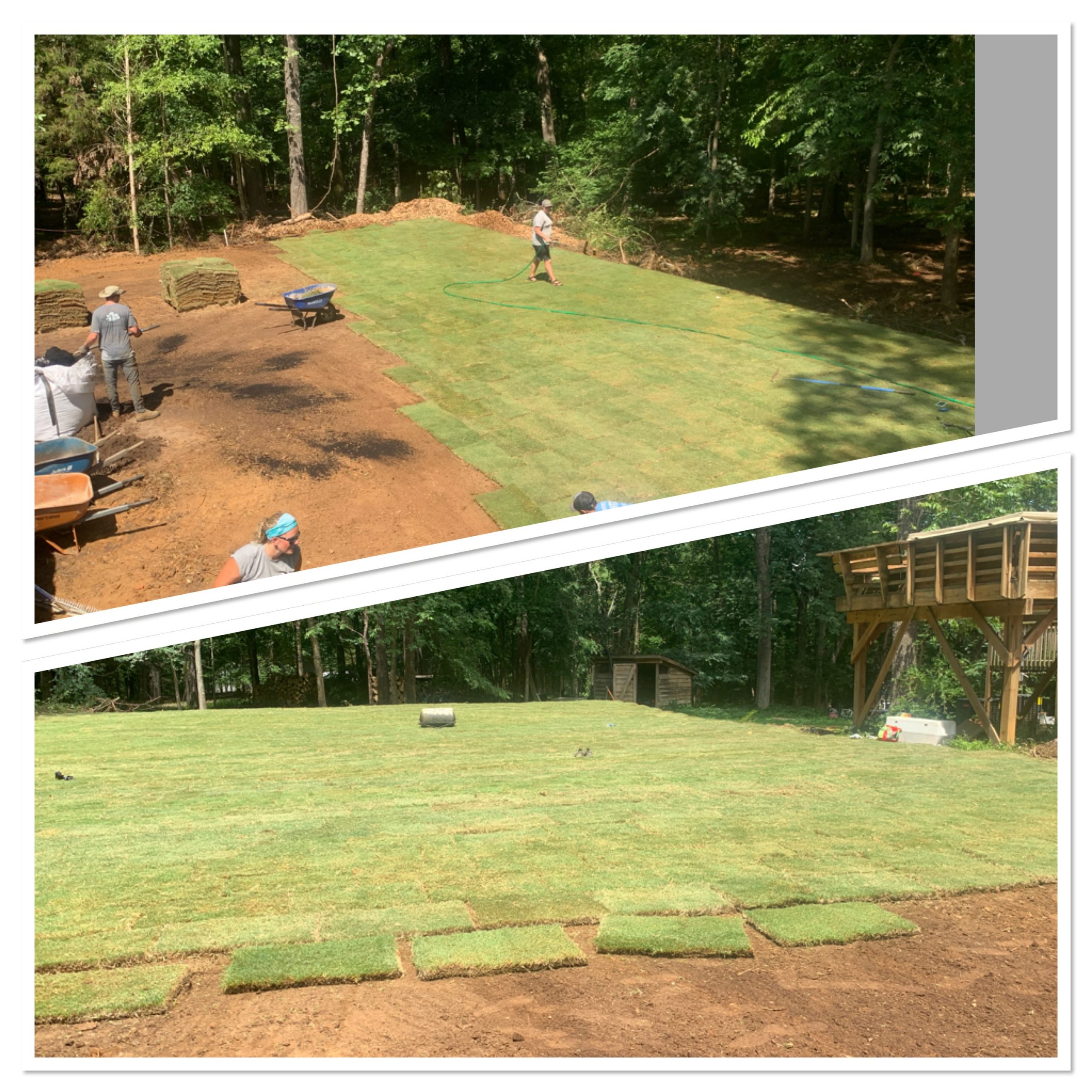 Best Sod & Mulch Prices and Installation in Raleigh