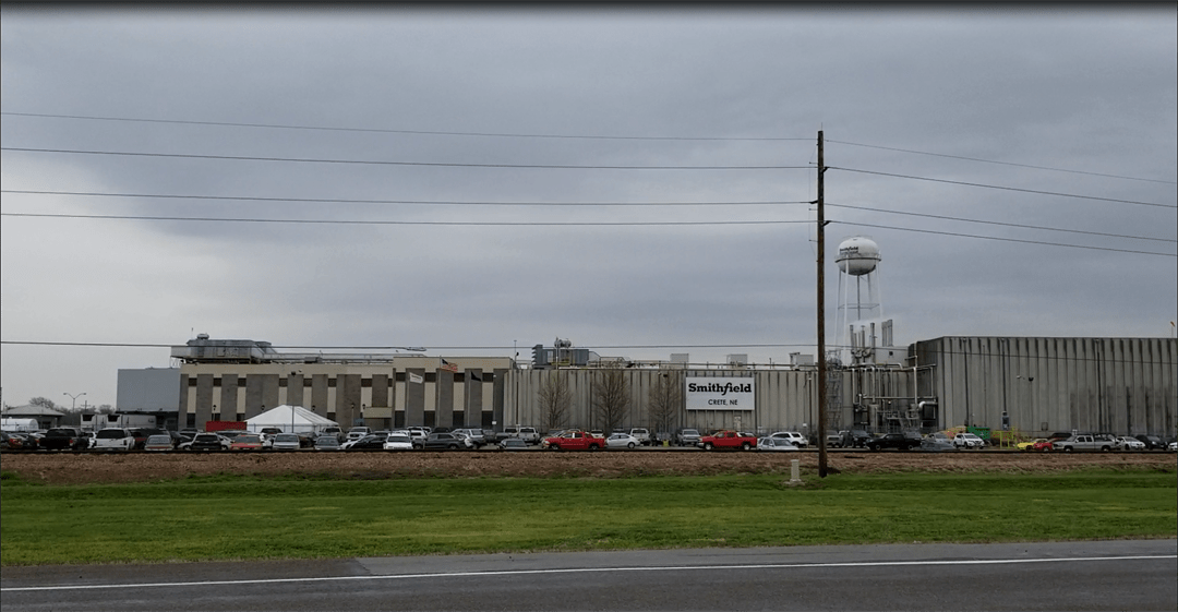 PETA calls for criminal investigation of Smithfield plant in Crete