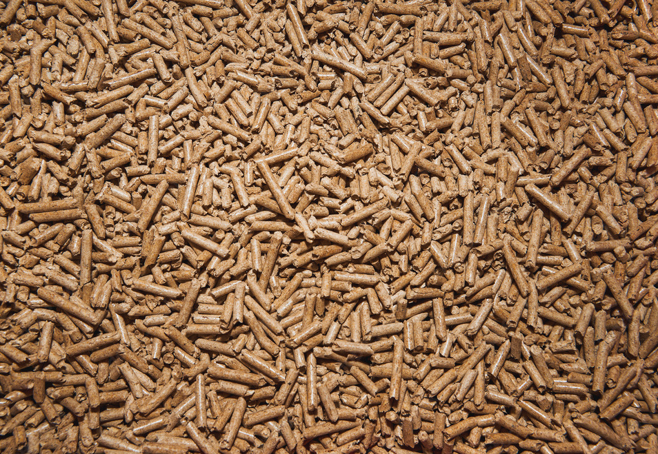 How to Light Wood Pellets? The Ultimate Guide to Ignite Your BBQ Top