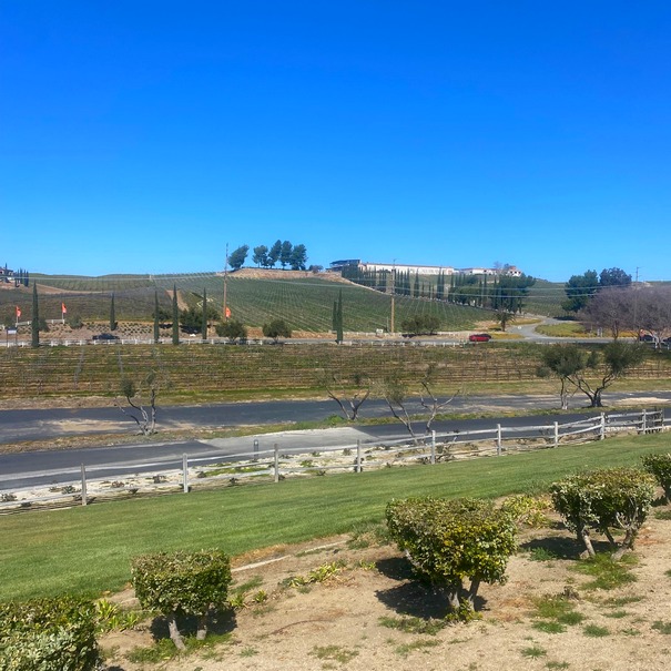 Wine Tours Newport Coast Tours LLC