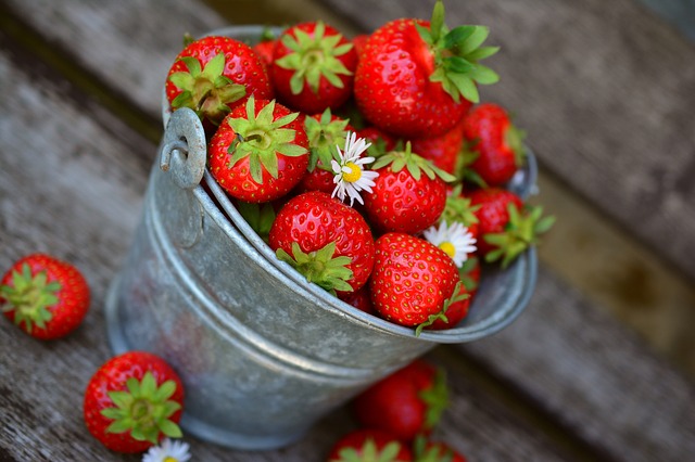 Easy And Fast Organic North Cyprus Gardening Tips For You