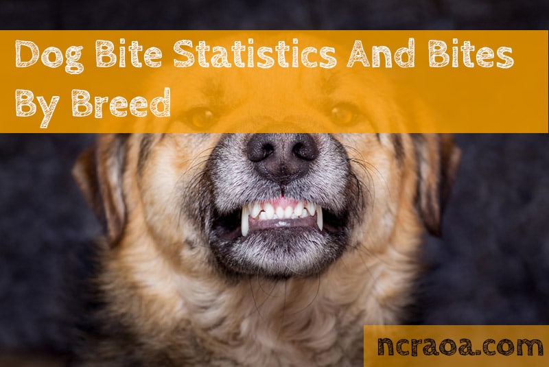Dog Bite Statistics And Bites By Breed National Canine Research Association Of America