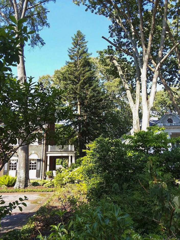 Contact North Carolina Redwood Sanctuary