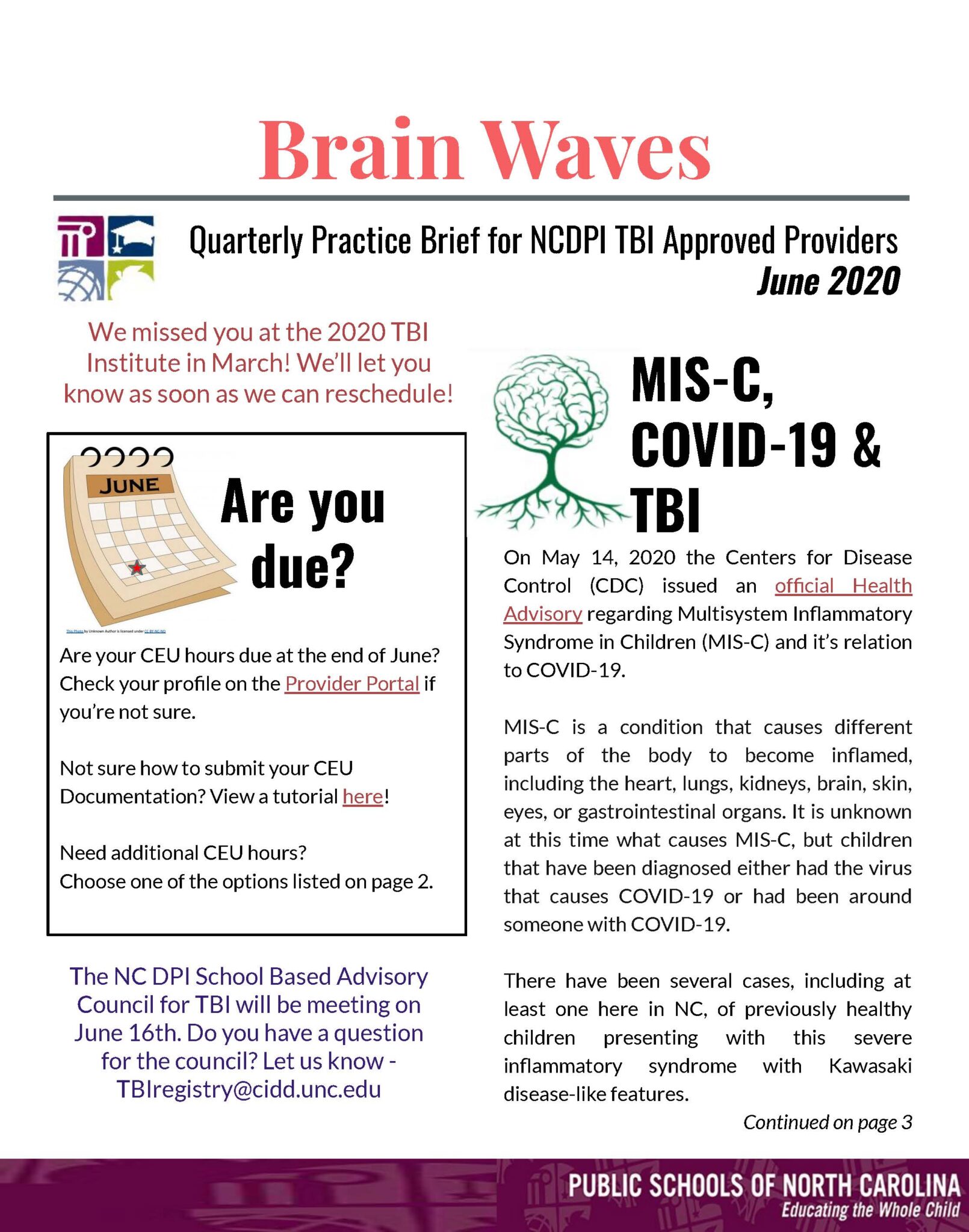 Brain Waves, June 2020 NC School Psychology
